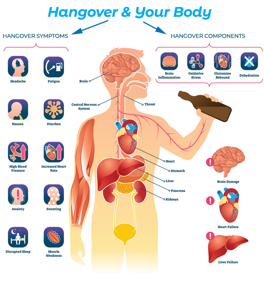 Hangover Science & Chemistry
