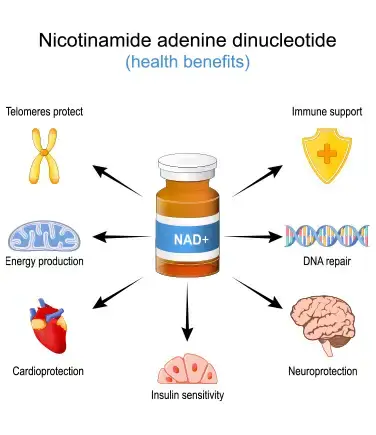 NAD+ health benefits illustration showing effects on telomere protection, energy production, cardioprotection, insulin sensitivity, immune support, DNA repair, neuroprotection.